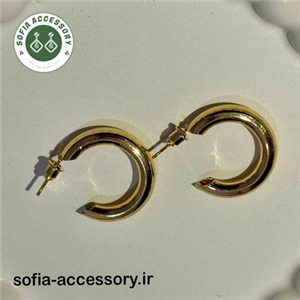 گوشواره حلقه ای میخی کد 101