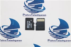 کارت حافظه 256 مگابایت MICRO SD