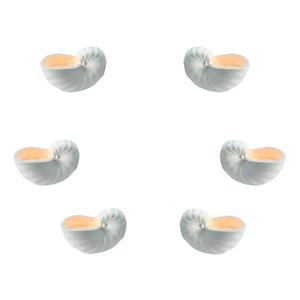 ظروف هفت سین طرح صدف حلزونی مجموعه 6 عددی