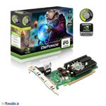 Point OF View Geforce 210 1GB DDR3 Graphic Card