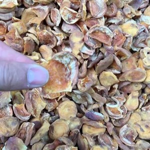 برگه زرد آلو مزبار -250 گرم