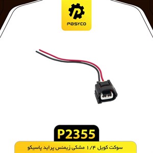 سوکت کوئل زیمنس ۱ و ۴ ، ۲ و ۳
