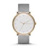 Skagen Men's SKW6170 Hald Stainless Steel Mesh Watch