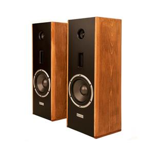 پخش کننده خانگی نظریان الکترونیک مدل A101