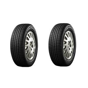 لاستیک خودرو تراینگل مدل TR259 سایز 225/60/17 - دو حلقه