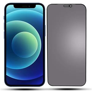 گلس پرایوسی (حریم شخصی )  برای گوشی Iphone Xs