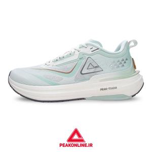 کفش رانینگ مردانه پیک مدل PEAK ET42627H