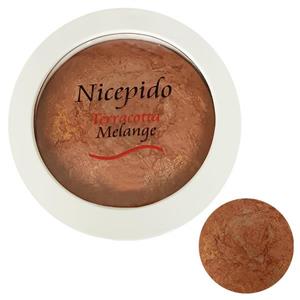 رژگونه نایسپیدو مدل براق تراکوتا شماره 207