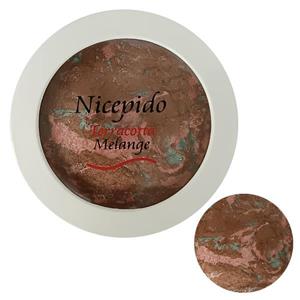 رژگونه نایسپیدو مدل براق تراکوتا شماره 201