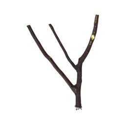 نشیمنگاه پرندگان مدل 02