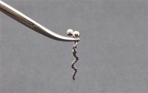 گوشواره میخی آویز مار کد 1151