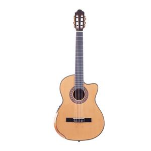 گیتار مدل واش برن