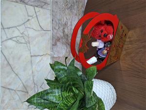 پک دخترانه اقتصادی ولنتاین کد 005