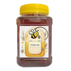 عسل سیاهدانه طبیعی دهکده عسل سلامت - 1 کیلوگرم
