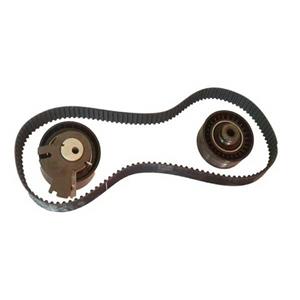 کیت کامل تسمه تایم رایکالتون مدل 1077 مناسب برای پژو 206 تیپ 5