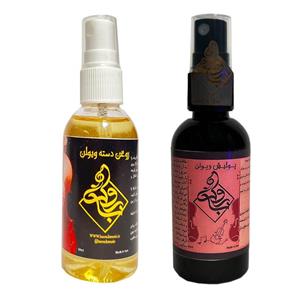 تمیزکننده پولیش بدنه و روغن دسته ویالن باروک مدل 589