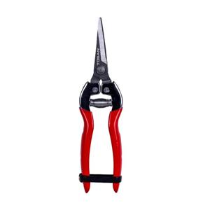 قیچی میوه چین سرکج بلند توسن مدل T5501