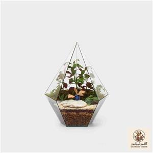 گیاه طبیعی سل تراریوم مدل الماس ایستاده
