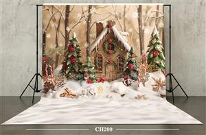 بکدراپ کریسمس کد CH202 