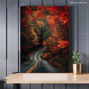 تابلو طبیعت جاده جنگلی Jungle road