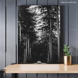 تابلو جنگل زیبا Beautiful forest