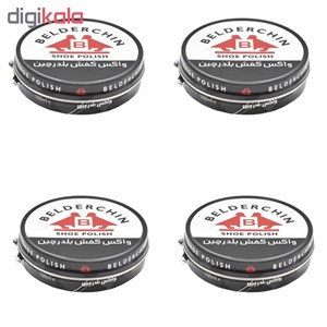 واکس کفش بلدرچین مدل 4X1 بسته 4 عددی