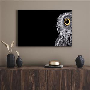 تابلو جغد تنها lone owl
