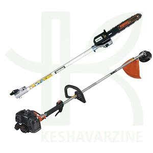 سرشاخه زن و علف زن تاناکا