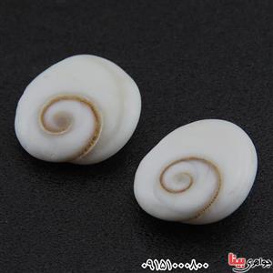 نگین انگشتر صدف (مهره مار) درشت و خاص زنانه مردانه ۲۶۸۰۱