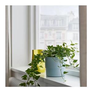 گلدان مدل gogd-tn35