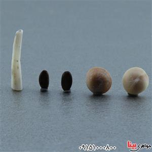 گردنبند صدف مهره مار ناب و اصلی به همراه کیف چرمی زنانه مردانه ۲۰۱۴۴