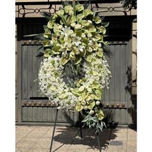 گلفروشی چند قدمی مسجد قمر بنی هاشم (ع) ورامین t1549