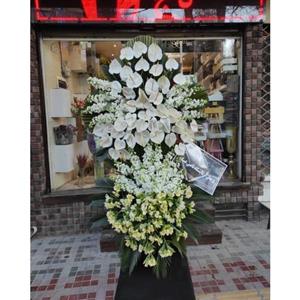 گل فروشی چند قدمی مسجد در کهنز شهریار t1051