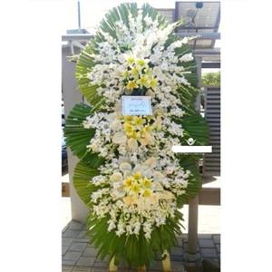 گل فروشی چند قدمی مسجدامام رضا (ع) پاکدشت t1888