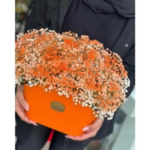 گل فروشی محدوده بیمارستان جم تهران t3609