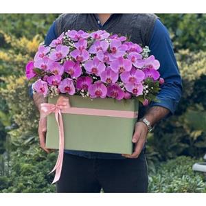 گل فروشی محدوده بیمارستان صدیقه زهرا تهران t3665