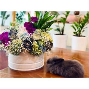 گل فروشی محدوده سفارت گرجستان t3543