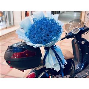 گل فروشی محدوده سفارتخانه افغانستان t3493