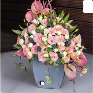 گل فروشی ایگل شهرک غرب 9855