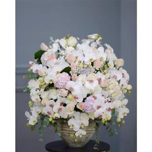 گل فروشی محدوده کلینیک حکیم تهران t3851