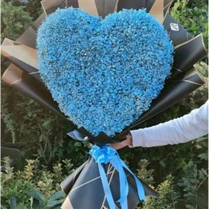 گل فروشی محدوده کلینیک شمس تبریزی تهران t3837