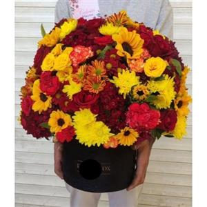 گل فروشی محدوده بیمارستان یاس سپید در تهران t3775