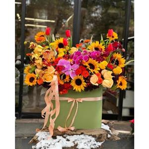 گل فروشی محدوده نمایندگی ویولت تهران t5264