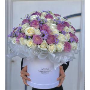 گل فروشی محدوده موسسه محک تهران t4855