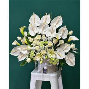 گل فروشی محدوده فروشگاه مرکزی جانبو در تهران t5472