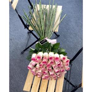 گل رز لب ماتیکی 5733