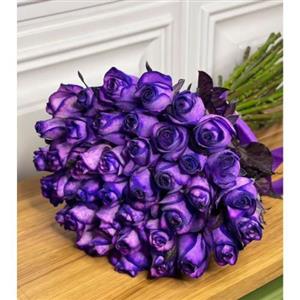 شاخه گل رز ارغوانی 6247