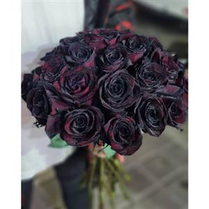  شاخه گل رز مشکی 6257
