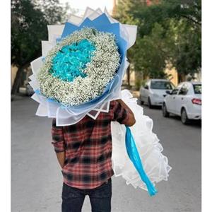 گل فروشی محدوده خیابان ۳۰ تیر تهران t6733