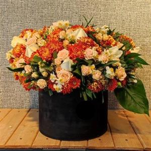 گل فروشی اطراف سالن زیبایی مهری محله نارمک تهران t7145